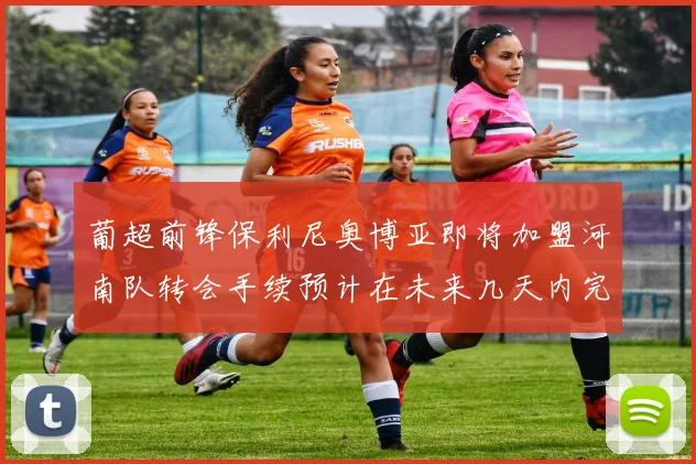 葡超前锋保利尼奥博亚即将加盟河南队转会手续预计在未来几天内完成